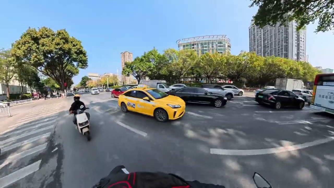 20260106 广州骑行｜打卡白天的小蛮腰｜广州大道（中山一路至洛溪桥段）
