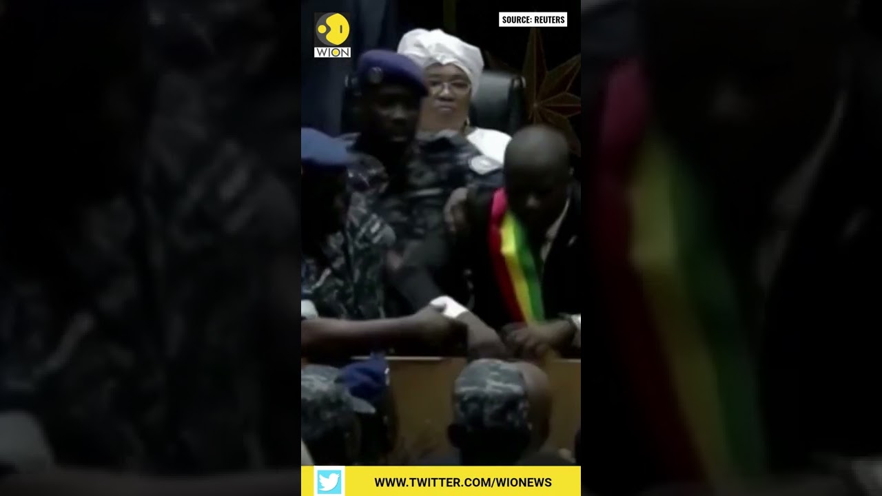 Scuffles in Senegal's parliament after MPs argue over the leadership  | WION Shorts