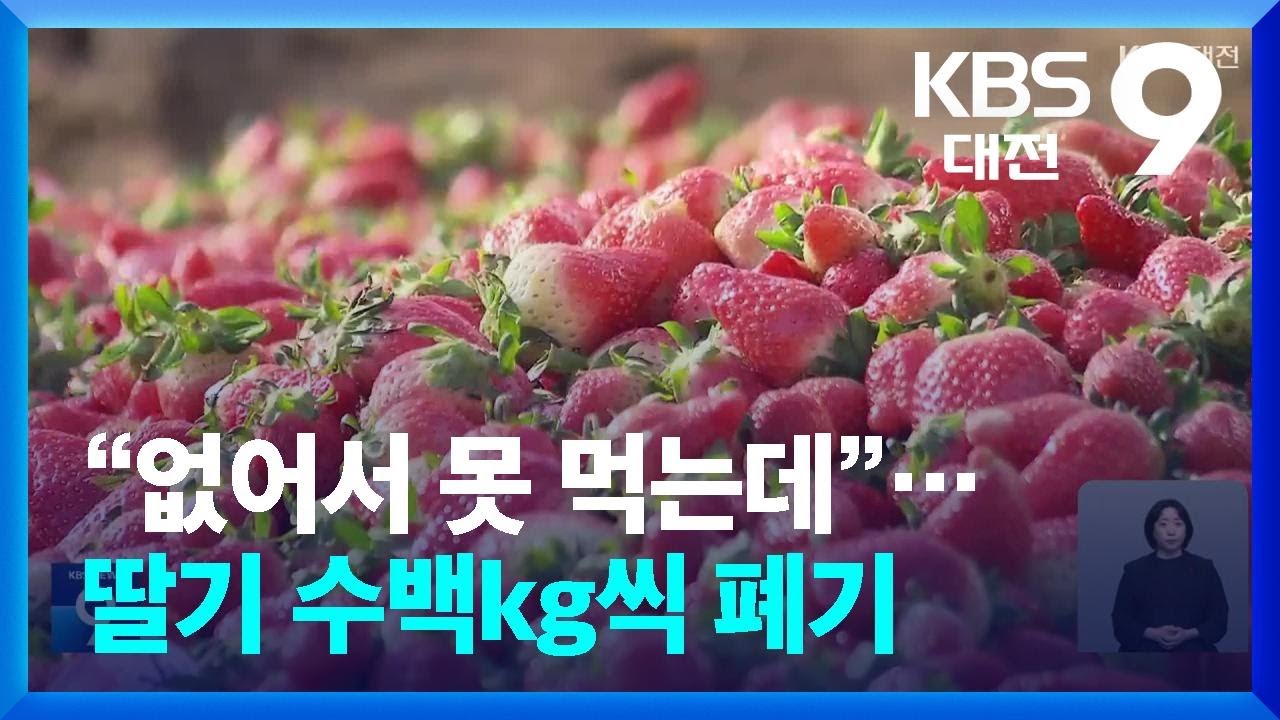 &ldquo;없어서 못 먹는데&rdquo;&hellip;딸기 수백kg씩 폐기 / KBS  2026.01.03.