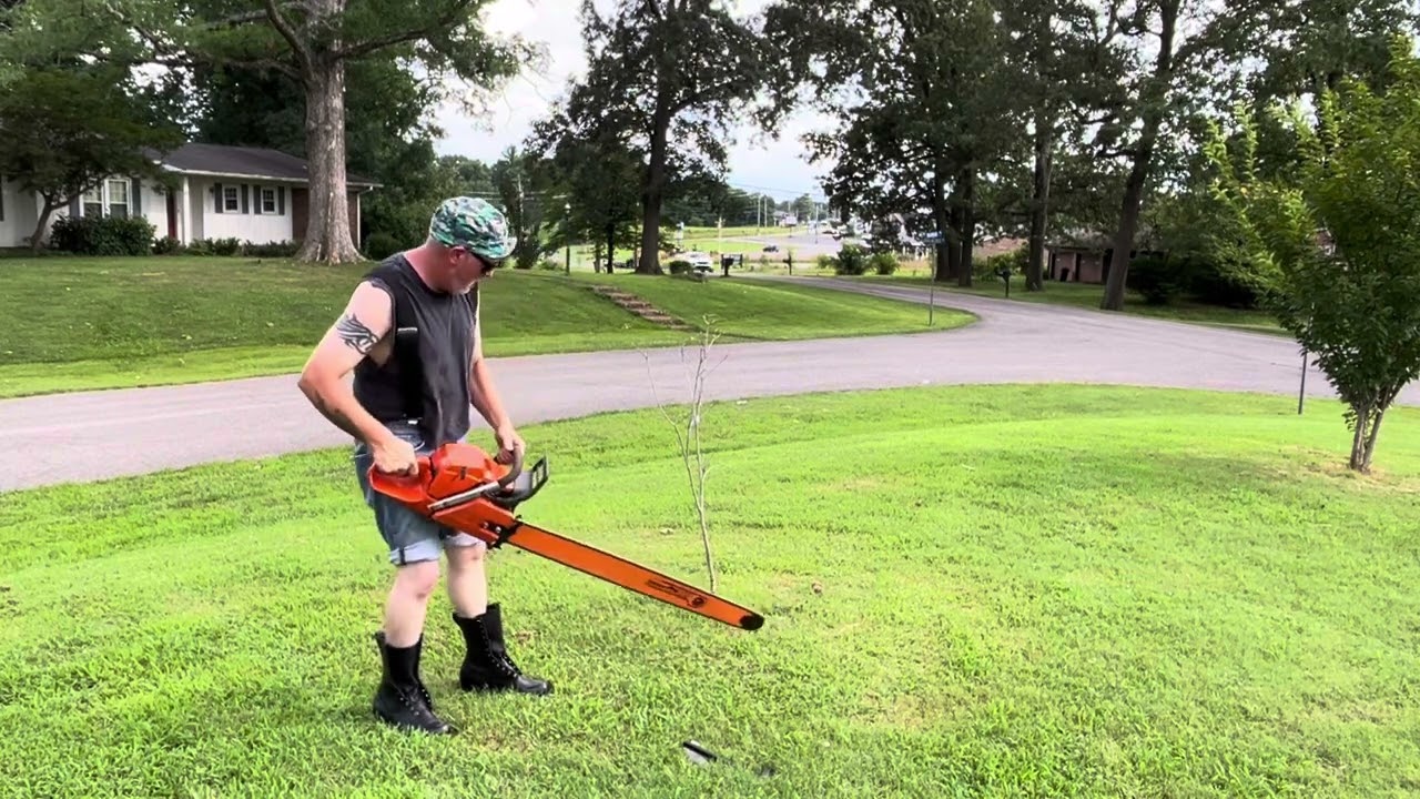 Cutting Timber West Coast Style
