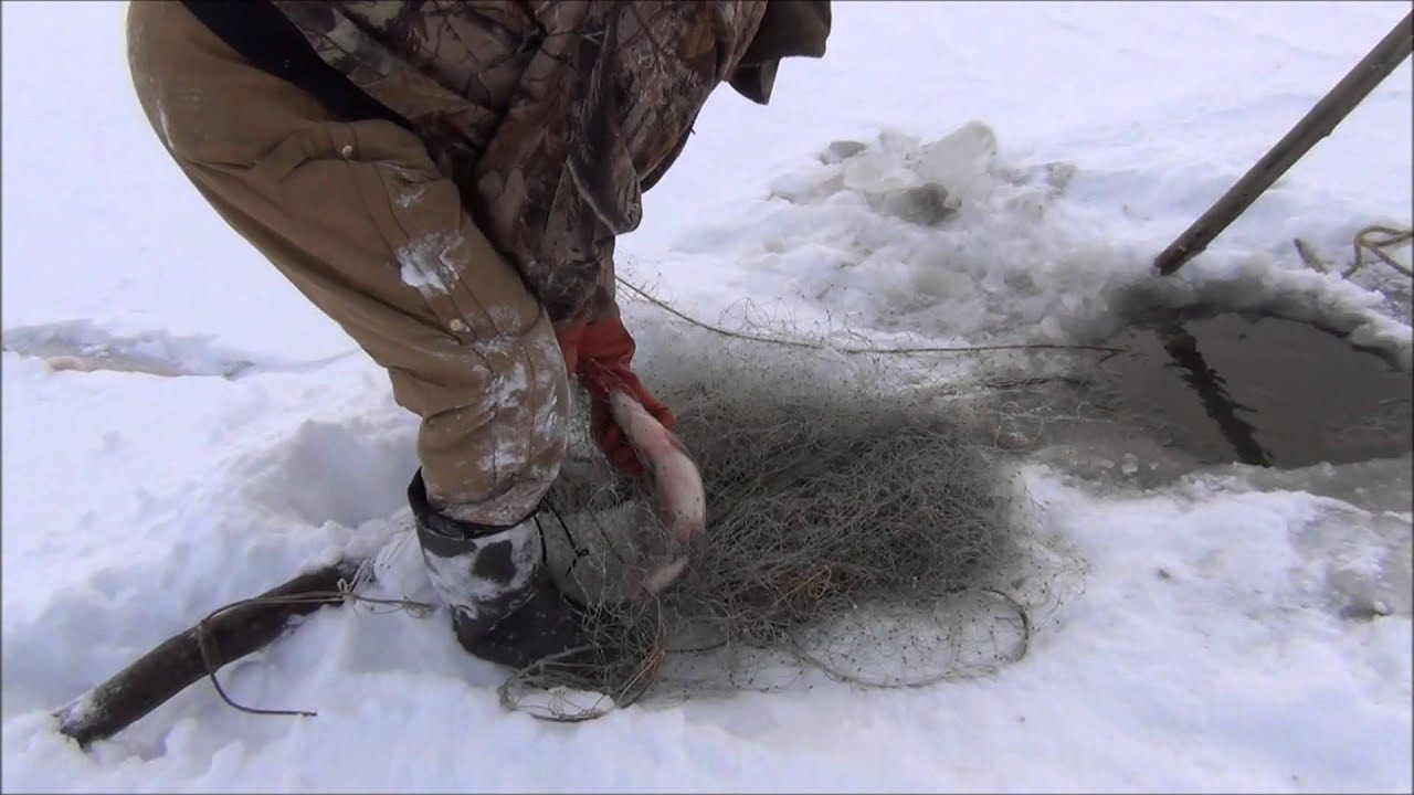 Checking The Under Ice Net On The Yukon River With yukonjeff