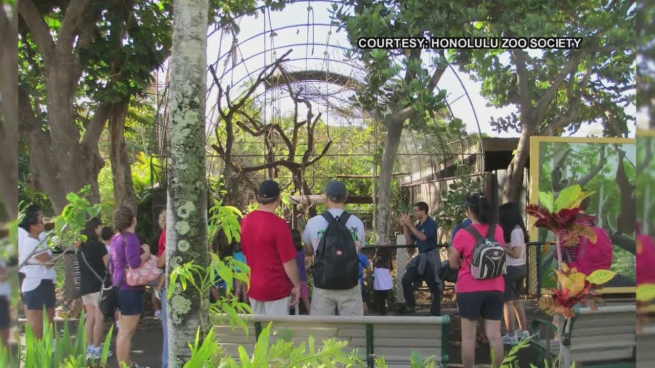 Twilight tours at Honolulu Zoo
