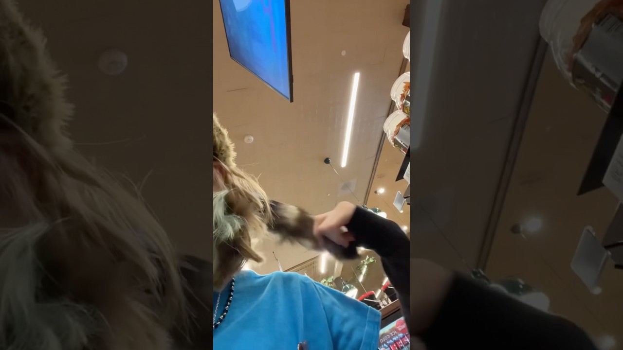 Пойдем со мной в Bass Pro! #bassproshop #essa #essacommunity #essapet #outingvlog #viral #s0da