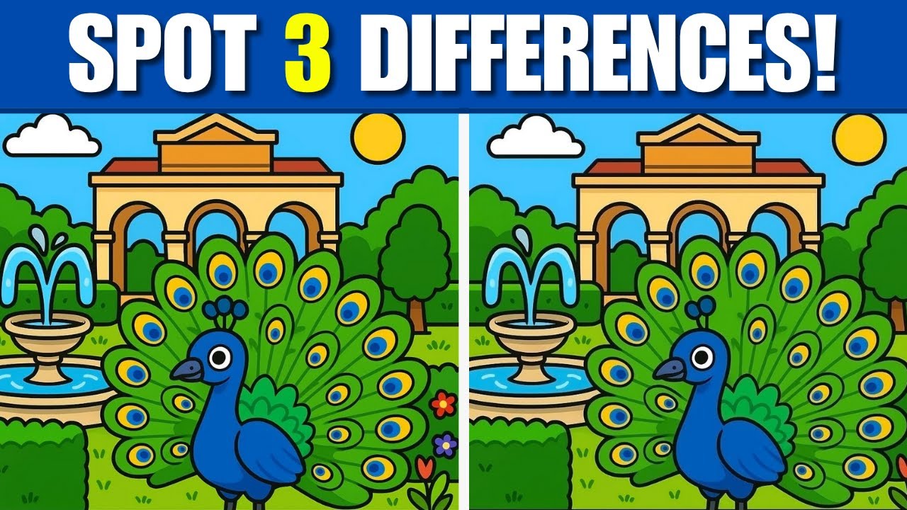 Find The Difference: Brain Training! [ Spot The Difference #99 ]