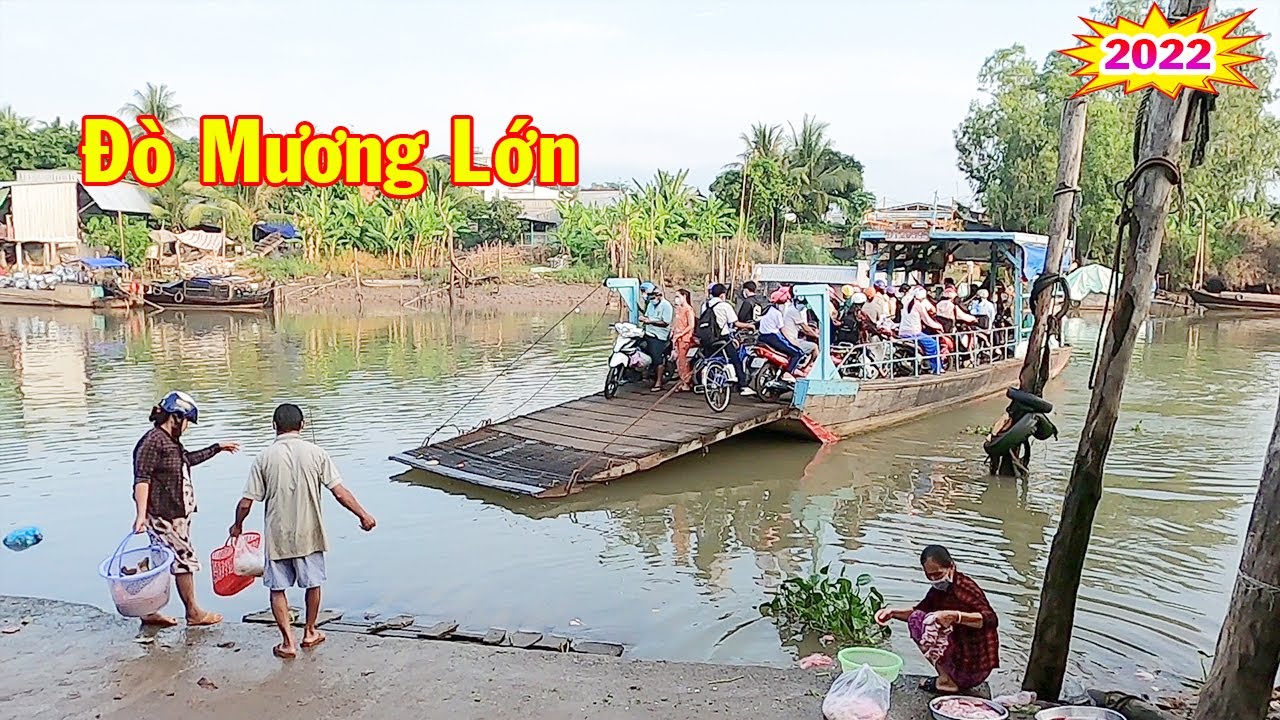 Chuyến Đò Mương Lớn Quê Tôi Nối Hai Bờ Vui, Kiến Thành, Chợ Mới, An Giang