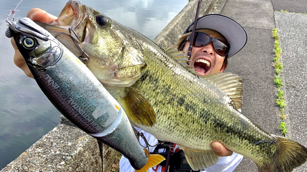 本当にデカすぎるルアーで遂に魚を釣る！【ガンクラフト尺ワン303】