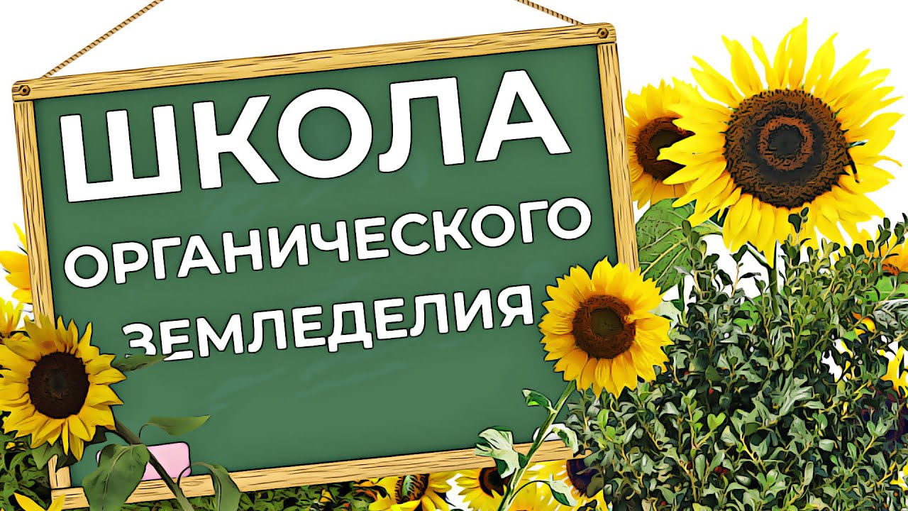 Школа органического земледелия. Органическое земледелие с чего начать. Как получить большой урожай.