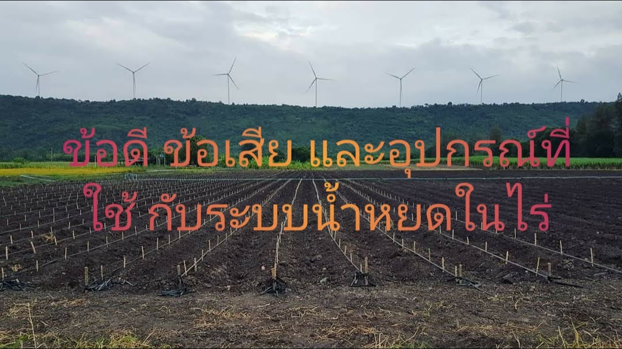 กานต์ชาวไร่  - ข้อดี ข้อเสีย และอุปกรณ์ระบบน้ำหยดพืชไร่