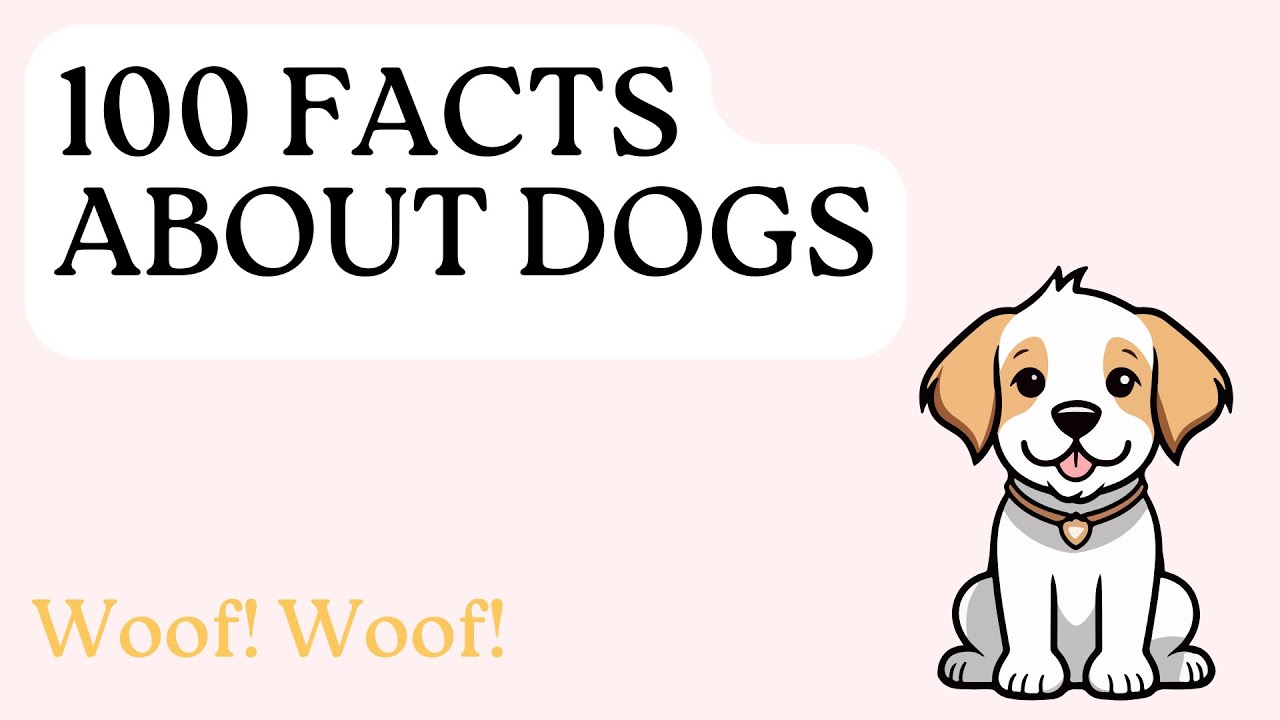 100 Facts About Dogs for doglovers You Didn't Know | Amazing Dog Facts