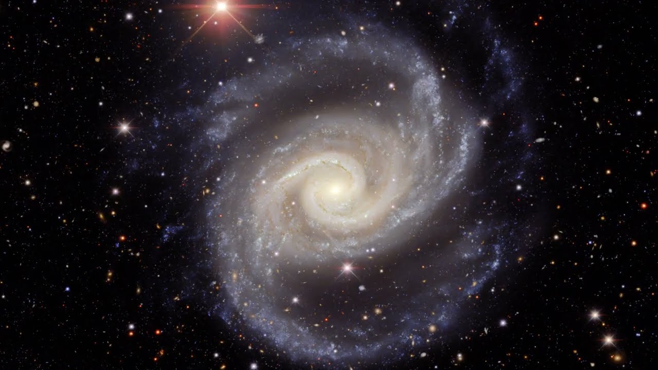 Zooming Into the Galaxy NGC 1566