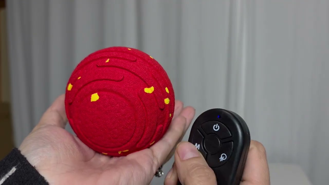 Review- Interactive Dog Toy with Remote