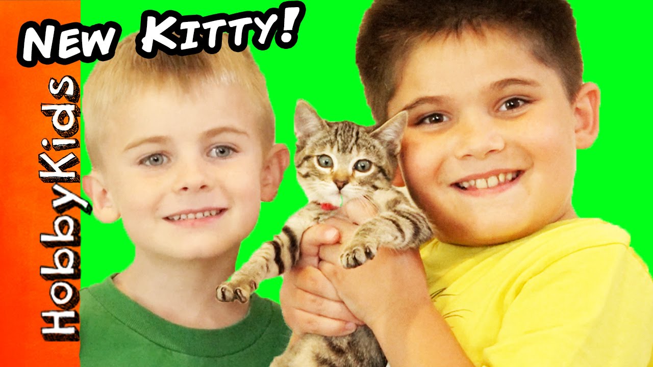 HobbyKids Get a NEW Kitty Cat! What Should We Namer Her?
