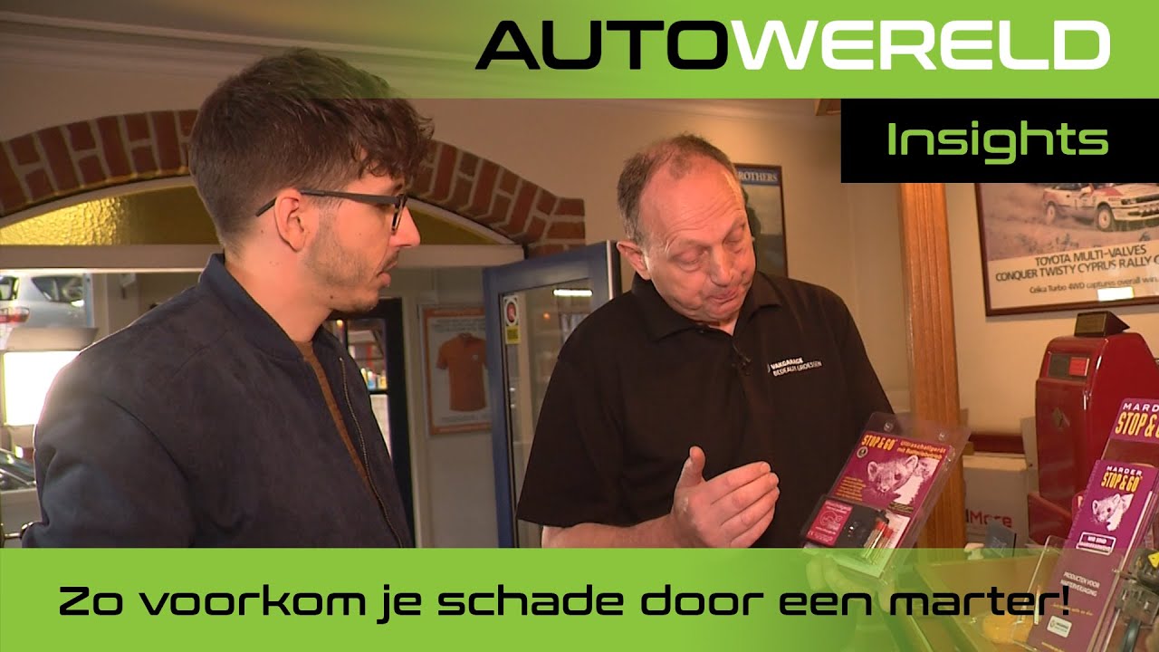 Zo voorkom je schade door een marter! | RTL Autowereld