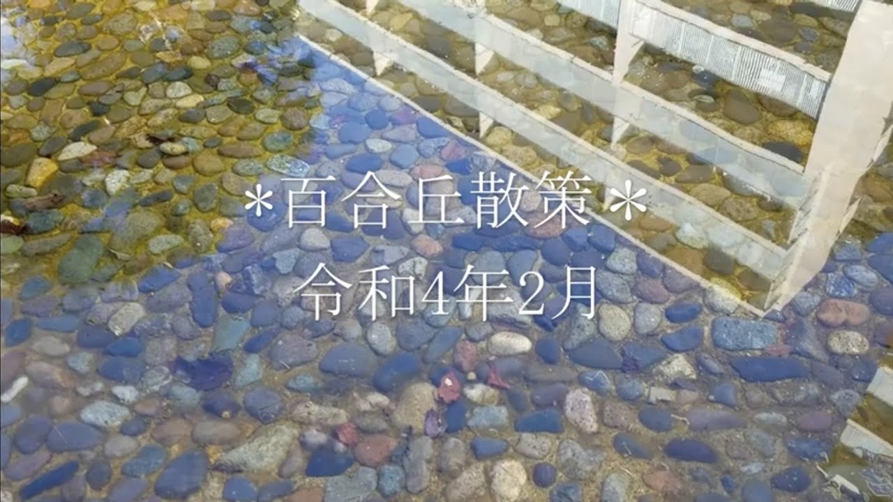 百合丘散策＊令和4年2月＊