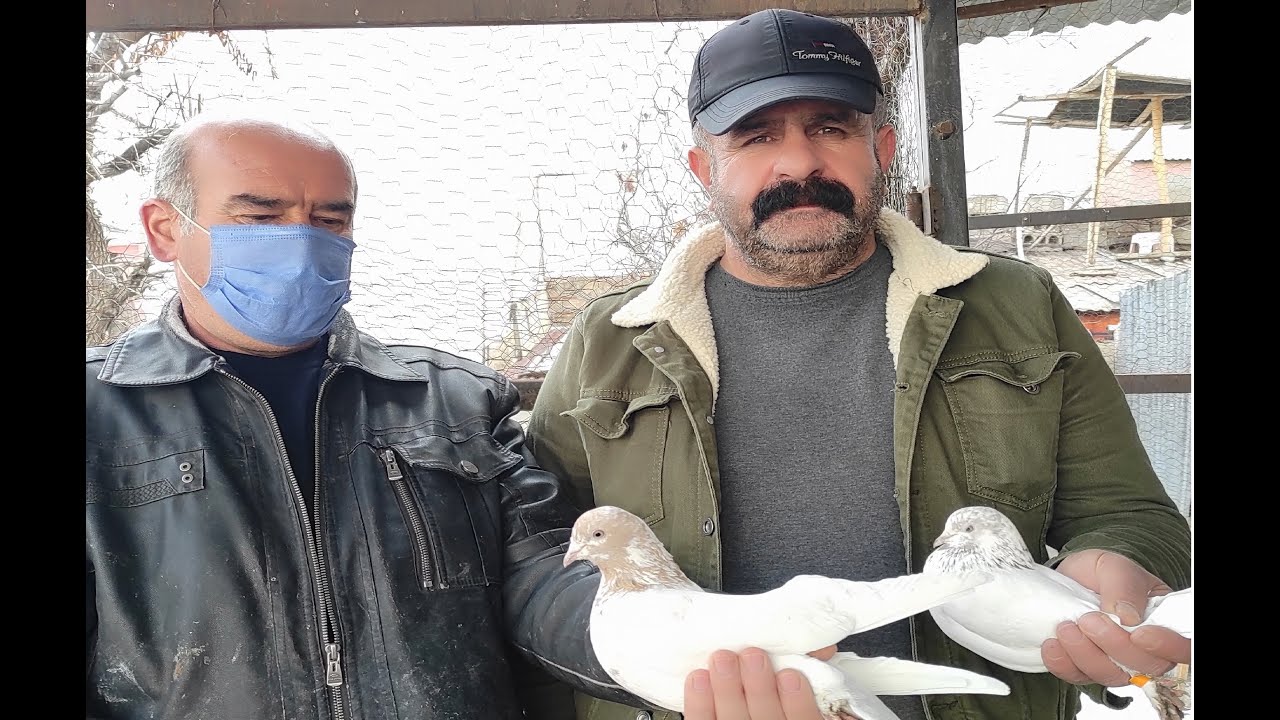 Emekli ömer abimizin güvercin sevdasını çektik BÖLÜM 1.