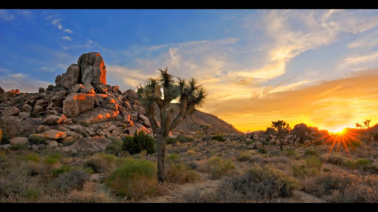 Joshua Tree National Park Motorcycle Riding trip (GhostRyding)
