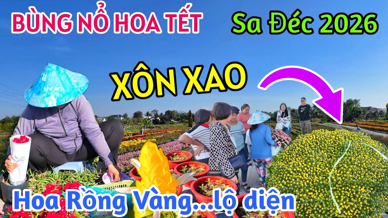 XÔN XAO: LÀNG HOA TẾT SA ĐÉC 2026 BÙNG NỔ CHƯA TỪNG CÓ - HÀNG TRIỆU SẮC HOA CHỜ ĐÓN XUÂN BÍNH NGỌ