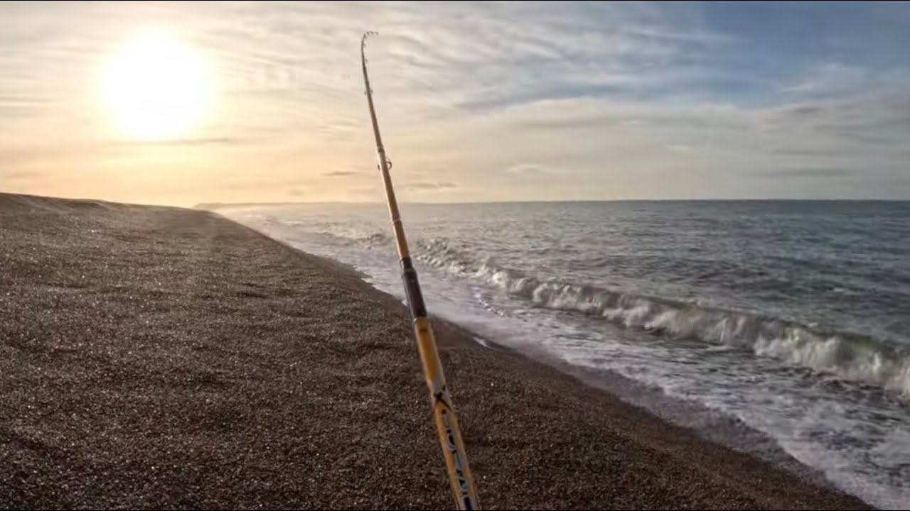 Чесил клюнул на заброс! 🎣👍Погодное окно даёт хорошие результаты. Морская рыбалка на берегу пляжа ...
