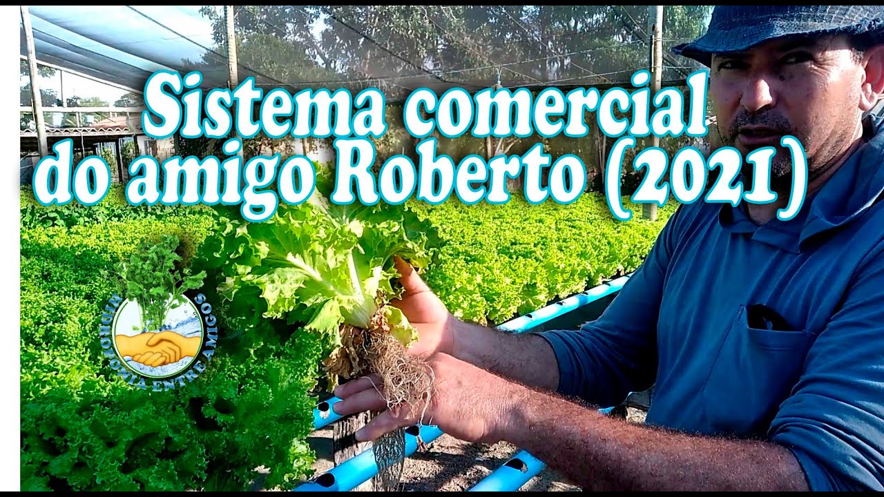 Hidroponia l Sistema comercial do amigo Roberto (atualização 2021)