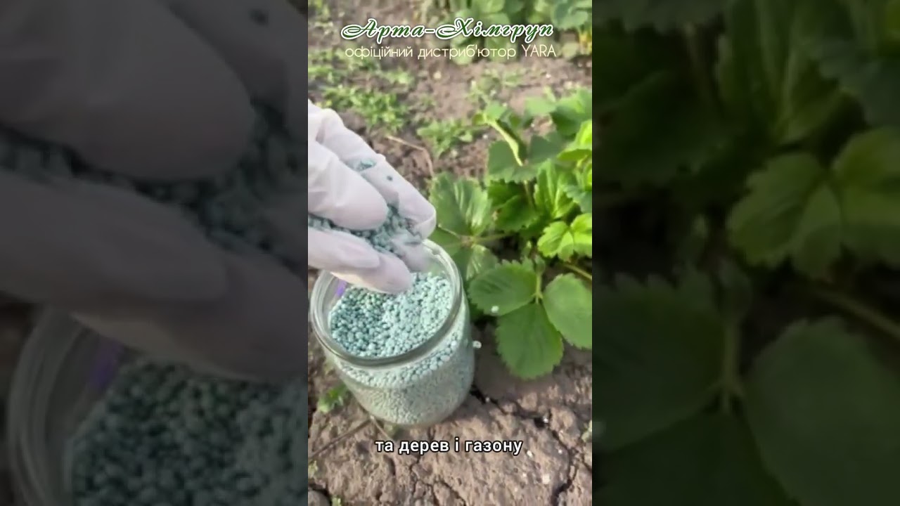 Yara Mila Complex 12 - 11 - 18 + micro #артахімгруп #яра #рекомендації #garden #npk #агрономія