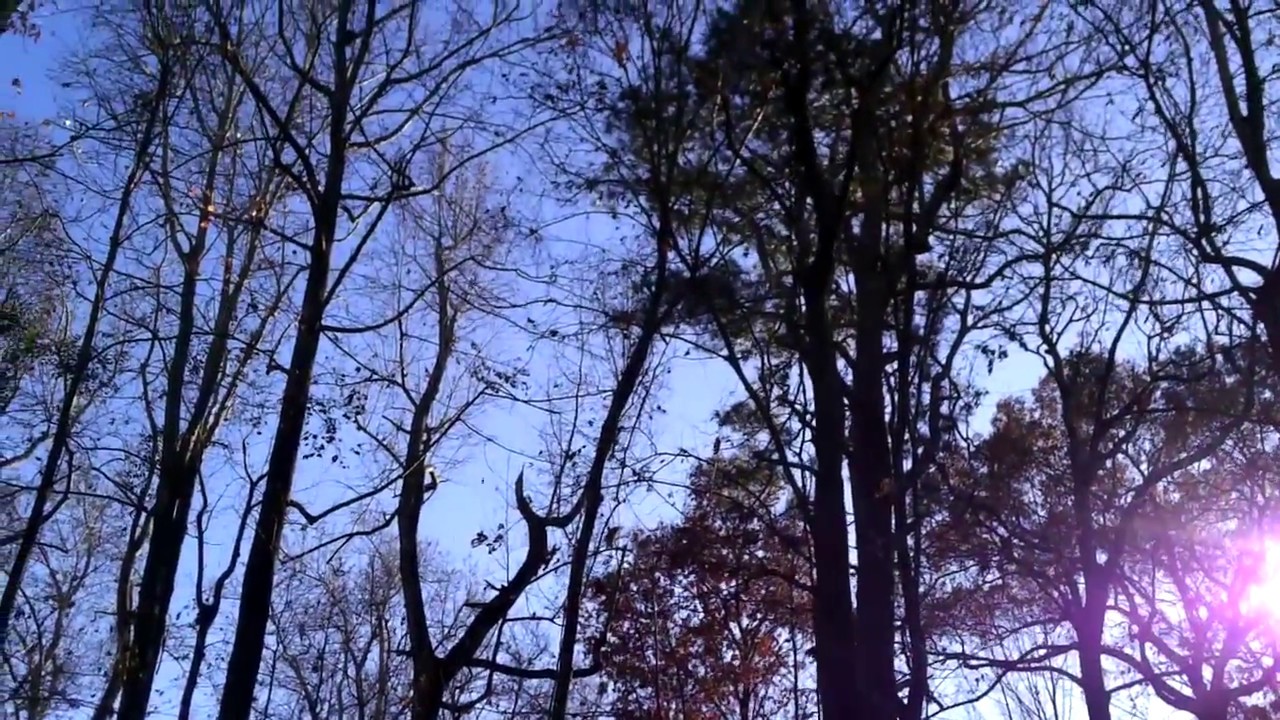 Southern Breeze