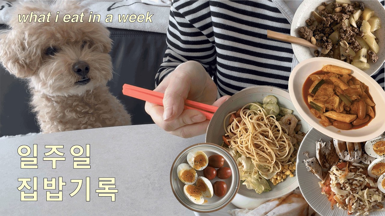 일주일 집밥 기록, 배달음식없이 잘 챙겨먹기
