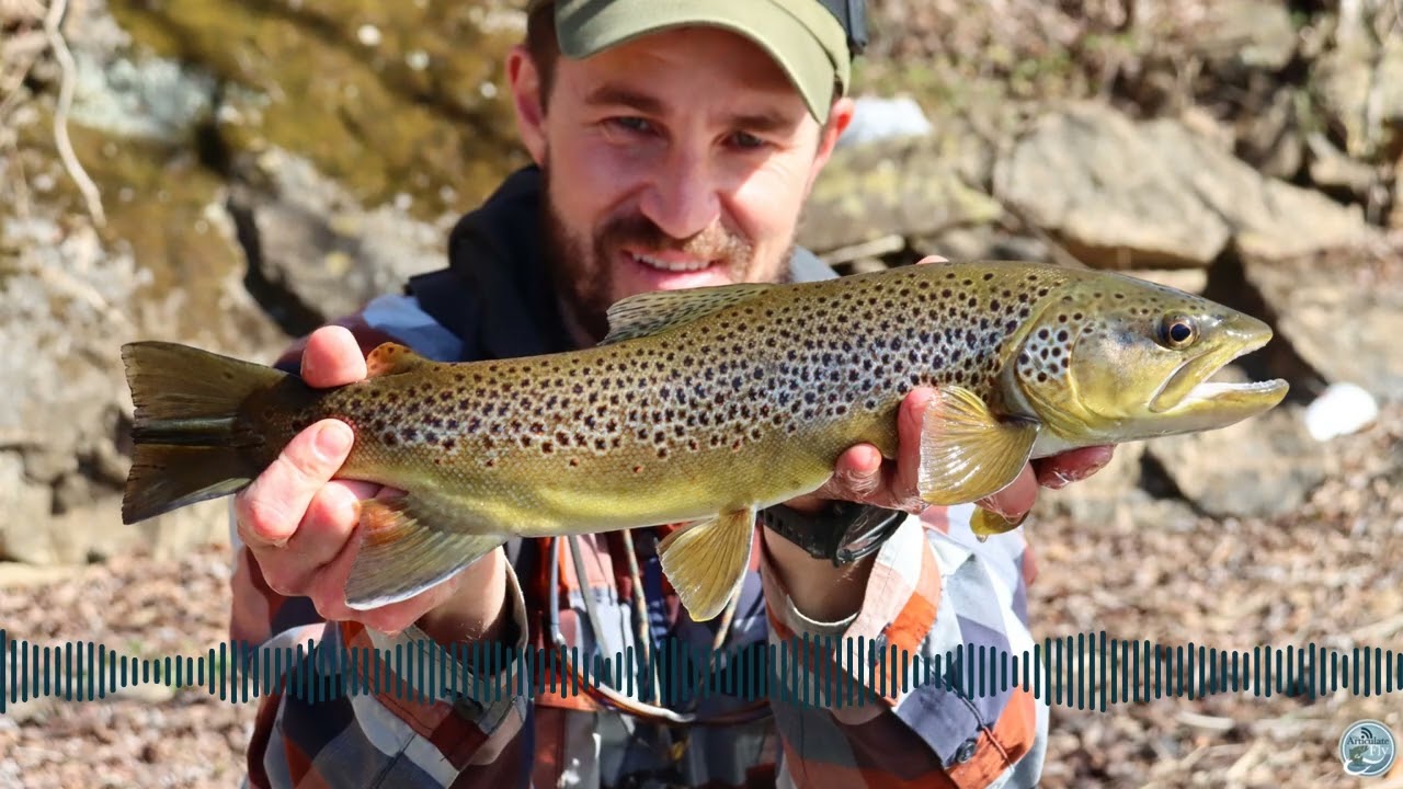 S8 Ep 12 Flows and Focus - Navigating Spring Fishing in East Tennessee with Ellis Ward