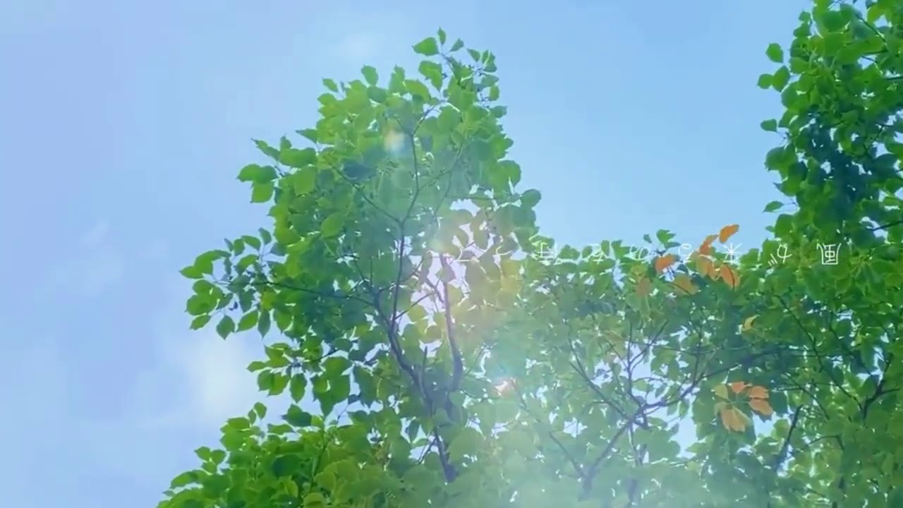 Study Music | 💮抖音💮| KTL A different language is a different vision of life.