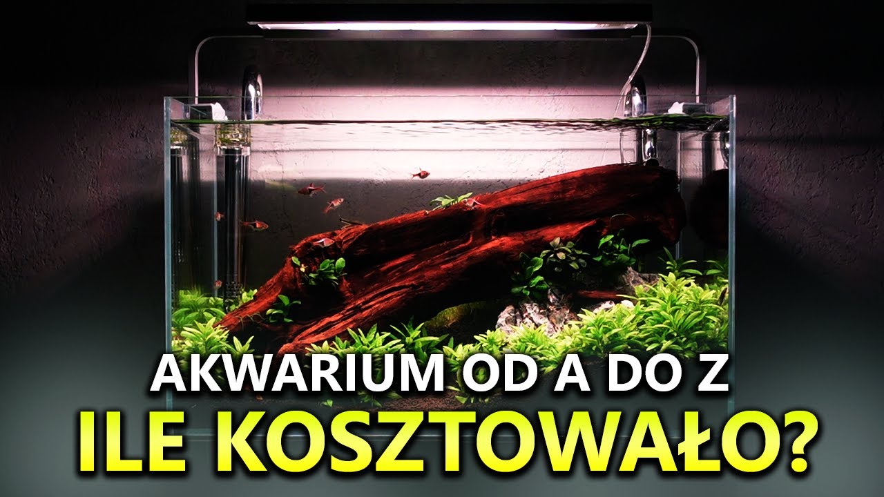 AKWARIUM OD A DO Z - Ile kosztowało?
