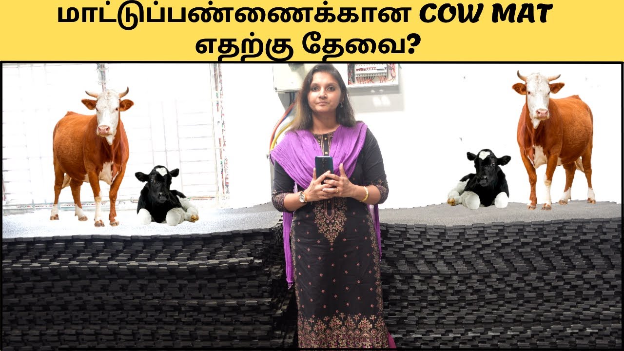 மாட்டுப்பண்ணைக்கான cow mat எதற்கு தேவை/Interlocking cow mat/ plain cow mats/cow mat in tamil/#mdm