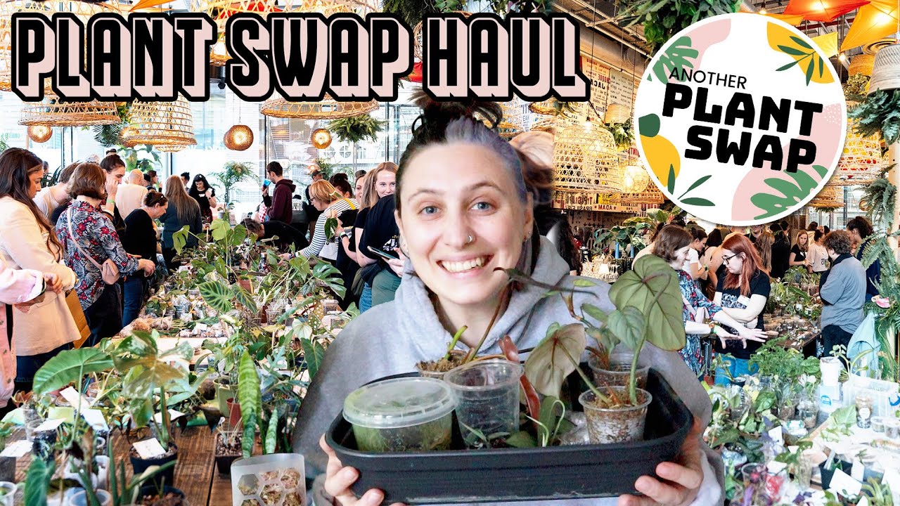 come to Another Plant Swap with me 🪴 Plant Swap Haul