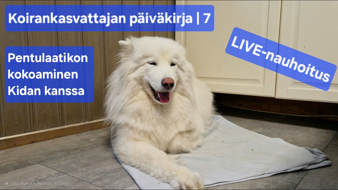 LIVE - Pentulaatikon kokoaminen | Kasvattajan päiväkirja | 7
