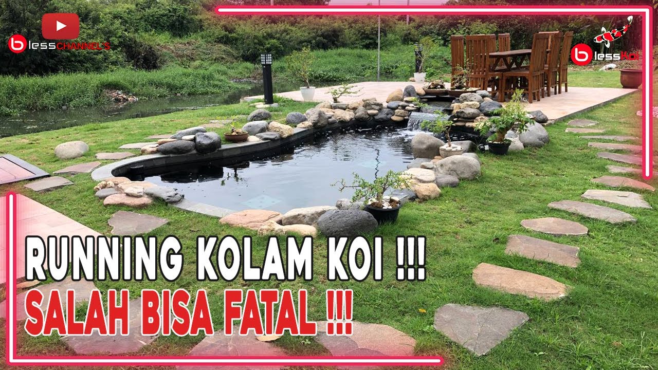 RUNNING KOLAM IKAN KOI BARU ❗ || SALAH BISA FATAL ❗❗❗