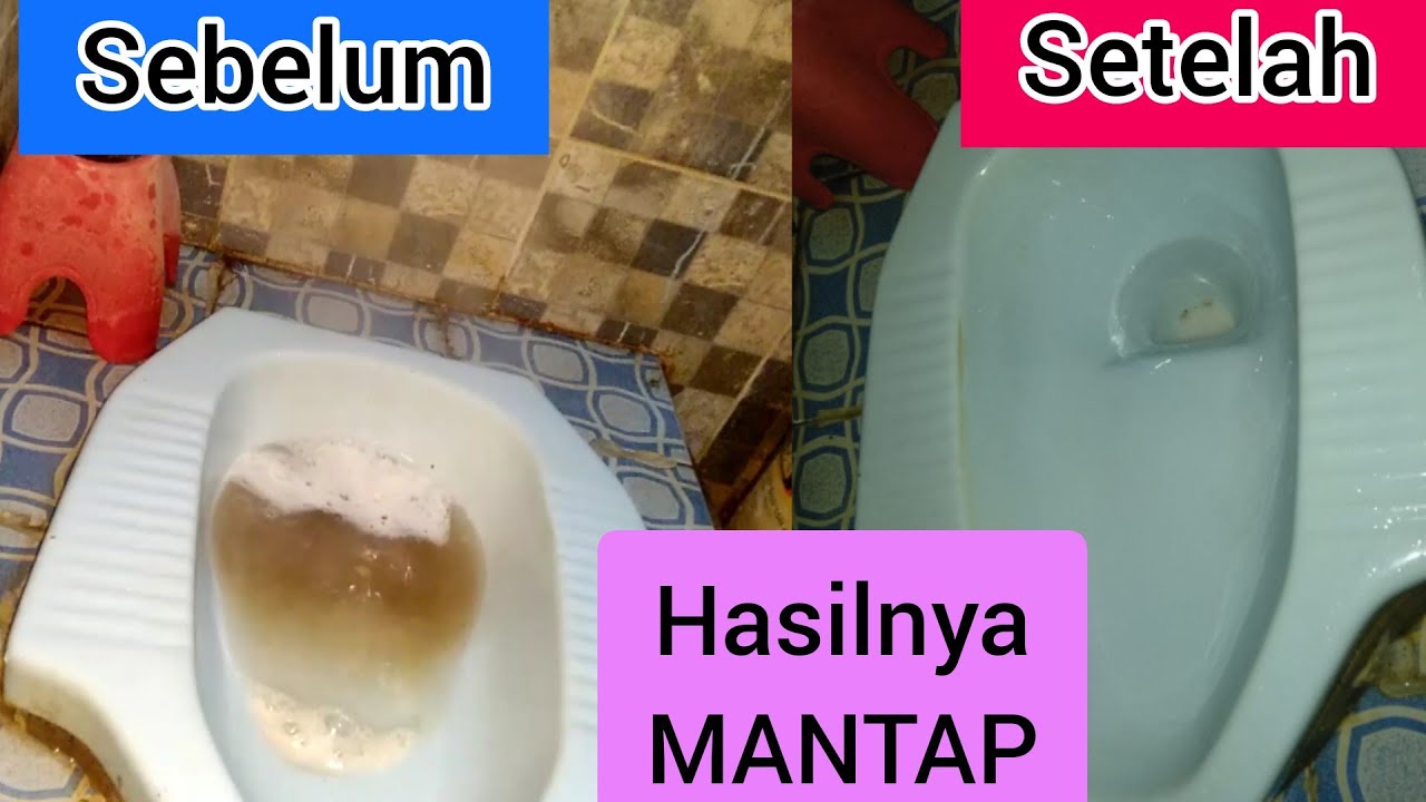 Cara mengatasi wc mampet | mengatasi wc buntu