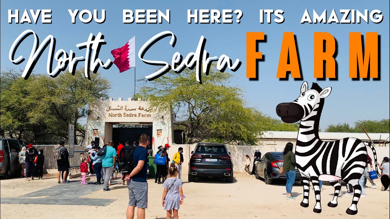 NORTH SEDRA FARM | Doha vlog | Places to Visit in Qatar