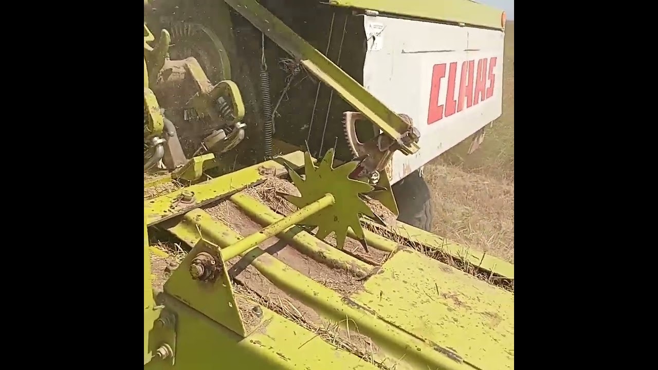 Hay farming in Africa 🌍