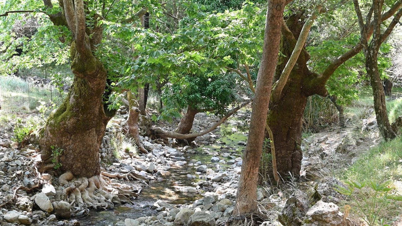 Φαράγγι Αγίας Ειρήνης/Agias Irini's Gorge, Crete in 4K