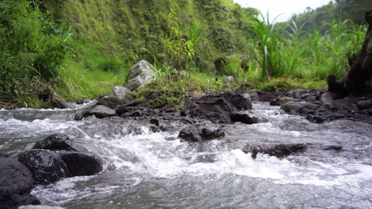 1 Hour of Flowing River Sounds for Deep Concentration, Relaxation, Sleep, Study
