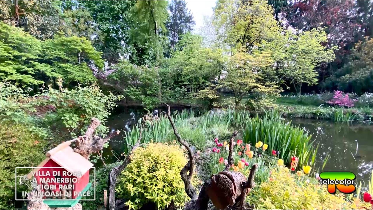 Villa DI ROSA a MANERBIO: FIORI rari in un'OASI di PACE