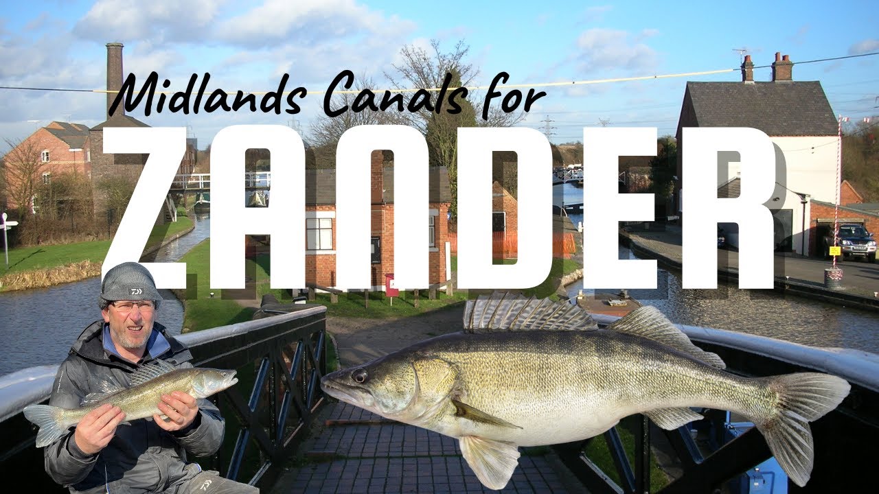 Midlands Canal Zander - Hawkesbury Junction