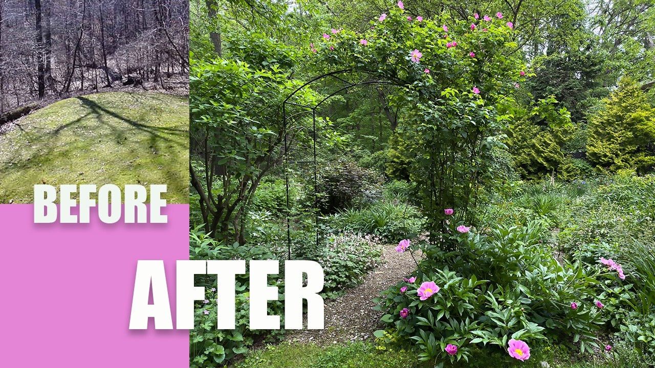 Before and After - How I Made My Dream Garden