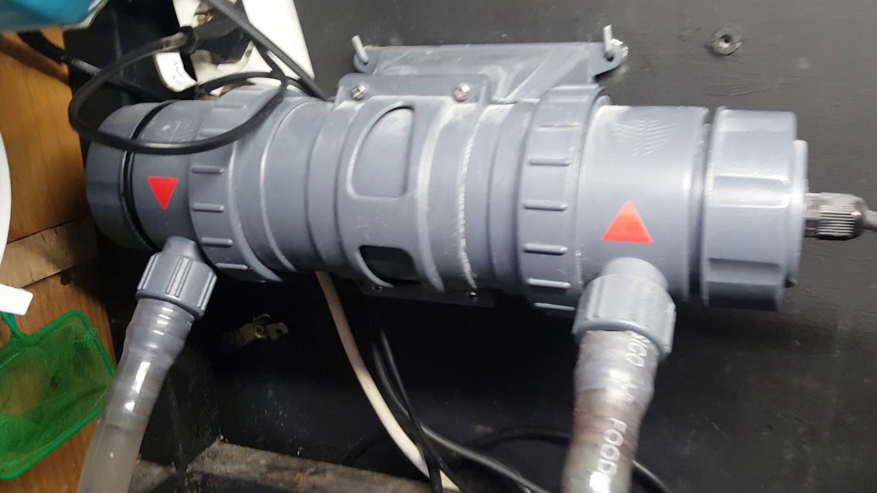 Filtro acuario marino (sump) componentes.