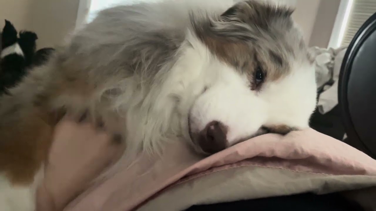 How I Wake Up Every Morning