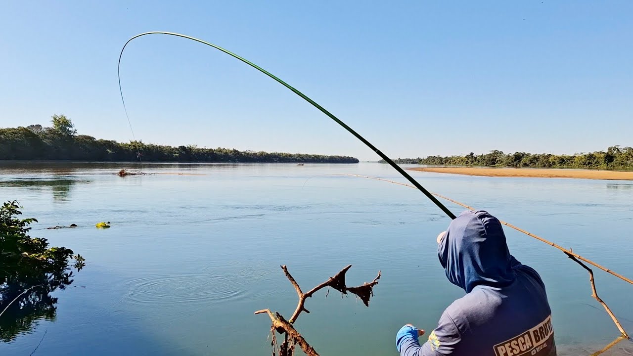 MELHOR ISCA PARA PEGAR PIAU 3 PINTAS , PESCARIA DE PIAU 3 PINTAS NA VARA TELESCÓPICA E PEIXE FRITO.