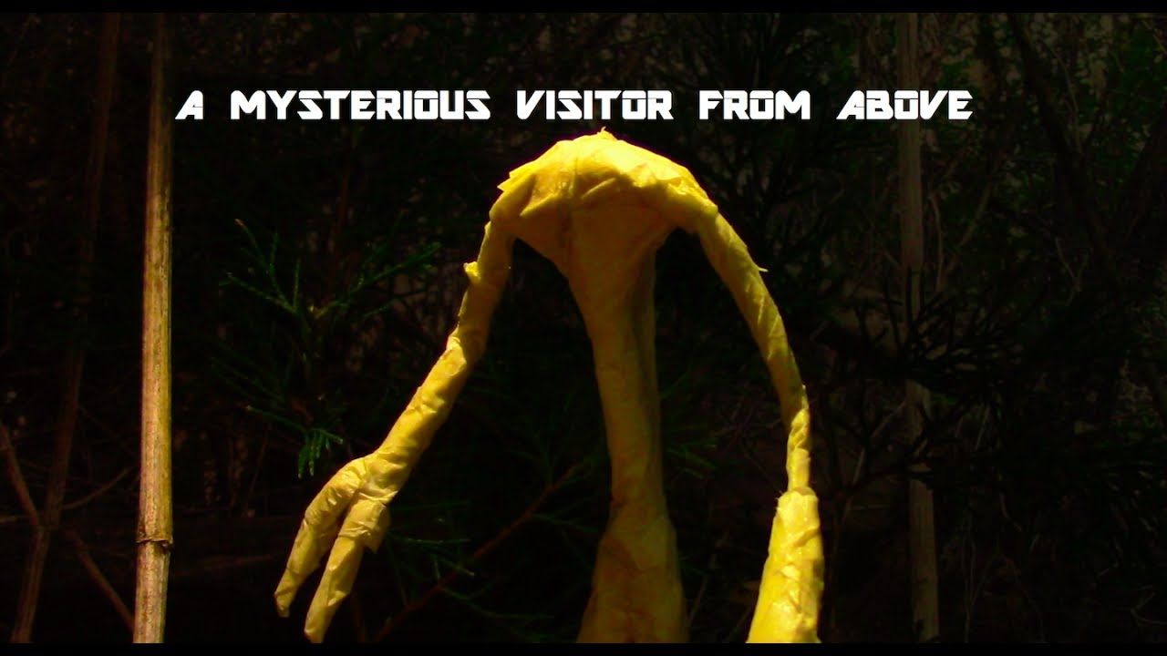 A Mysterious Visitor From Above | An Alien Encounter