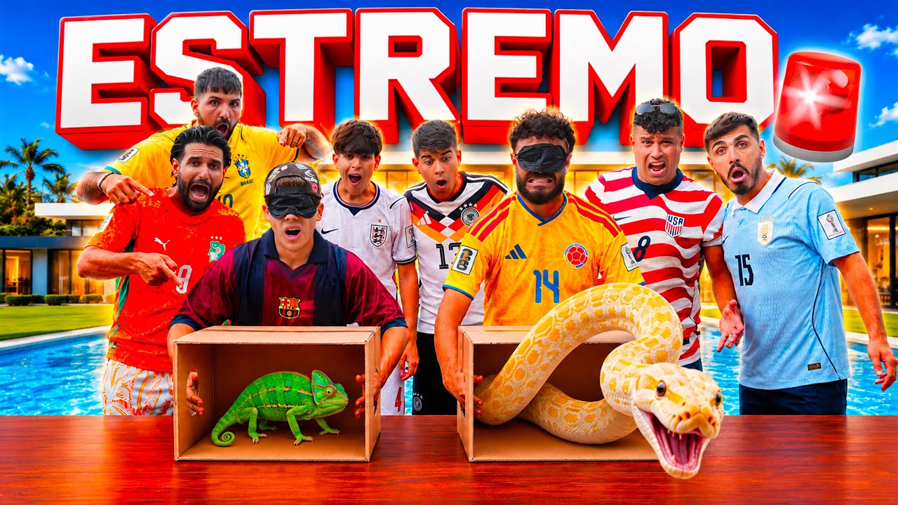 📦 NON SCEGLIERE LA SCATOLA SBAGLIATA con gli ANIMALI! *estremo* 🐍