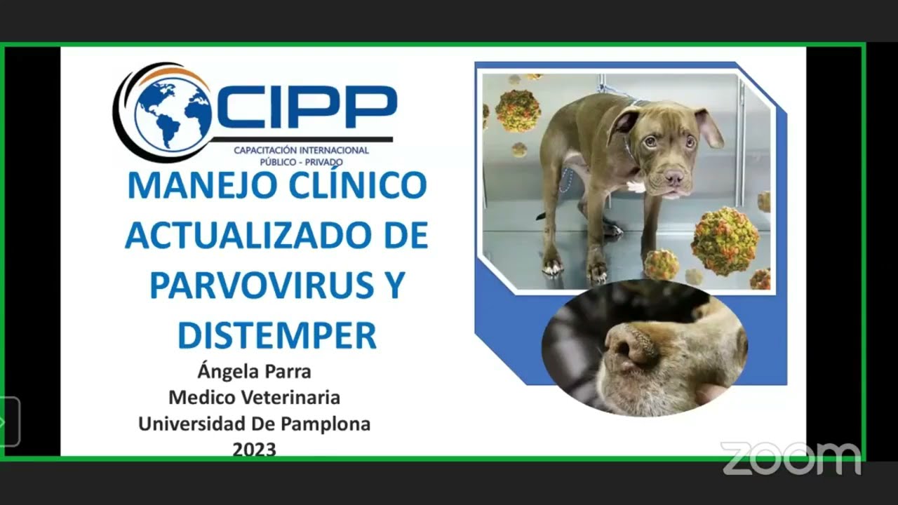 MANEJO CLINICO ACTUALIZADO DE PARVOVIRUS Y DISTEMPER