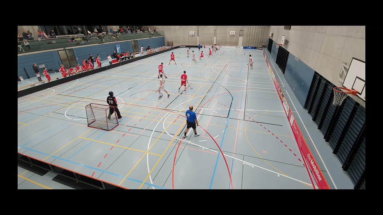 RLF-TI 5:8 (0:2/2:2/3:4) 2.Drittel