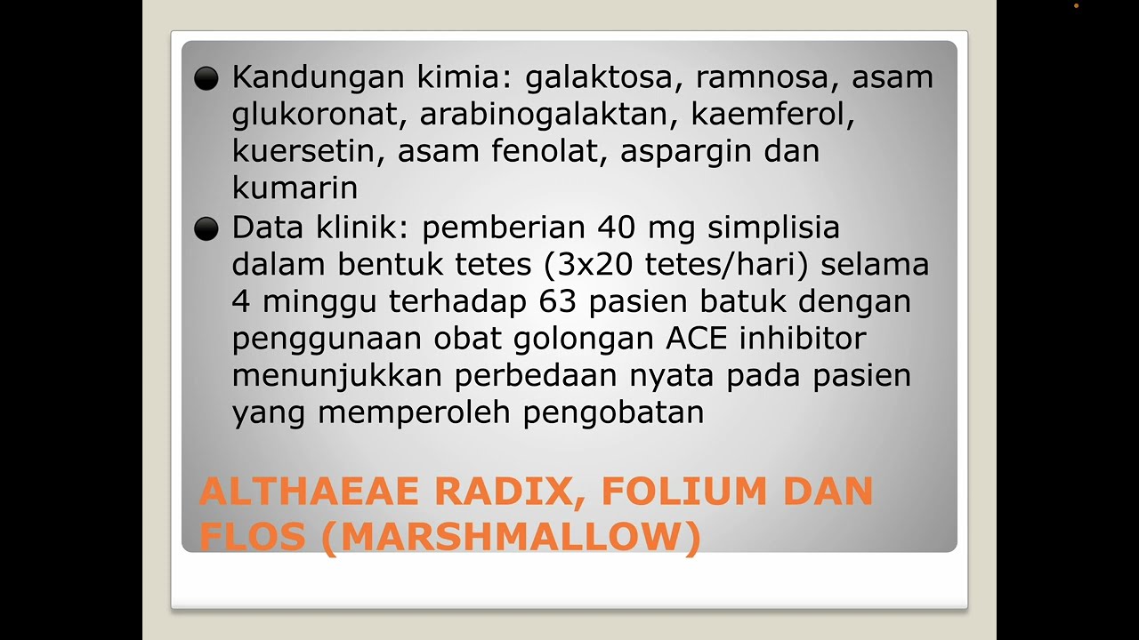 6. Fitoterapi pada Penyakit Pernafasan