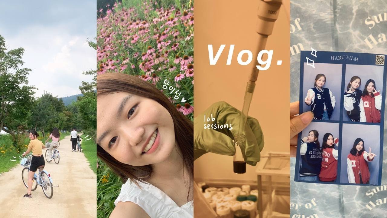 서울대 하계강좌 vlog☀️| 외국친구들이랑 남이섬 당일치기 여행! 서울대에서 직접 실험 해보기, 알쓰들의 막걸리 먹방, 가족 셀프촬영 찍기, 쌍둥이 동생이랑 학잠 입고 사진찍기